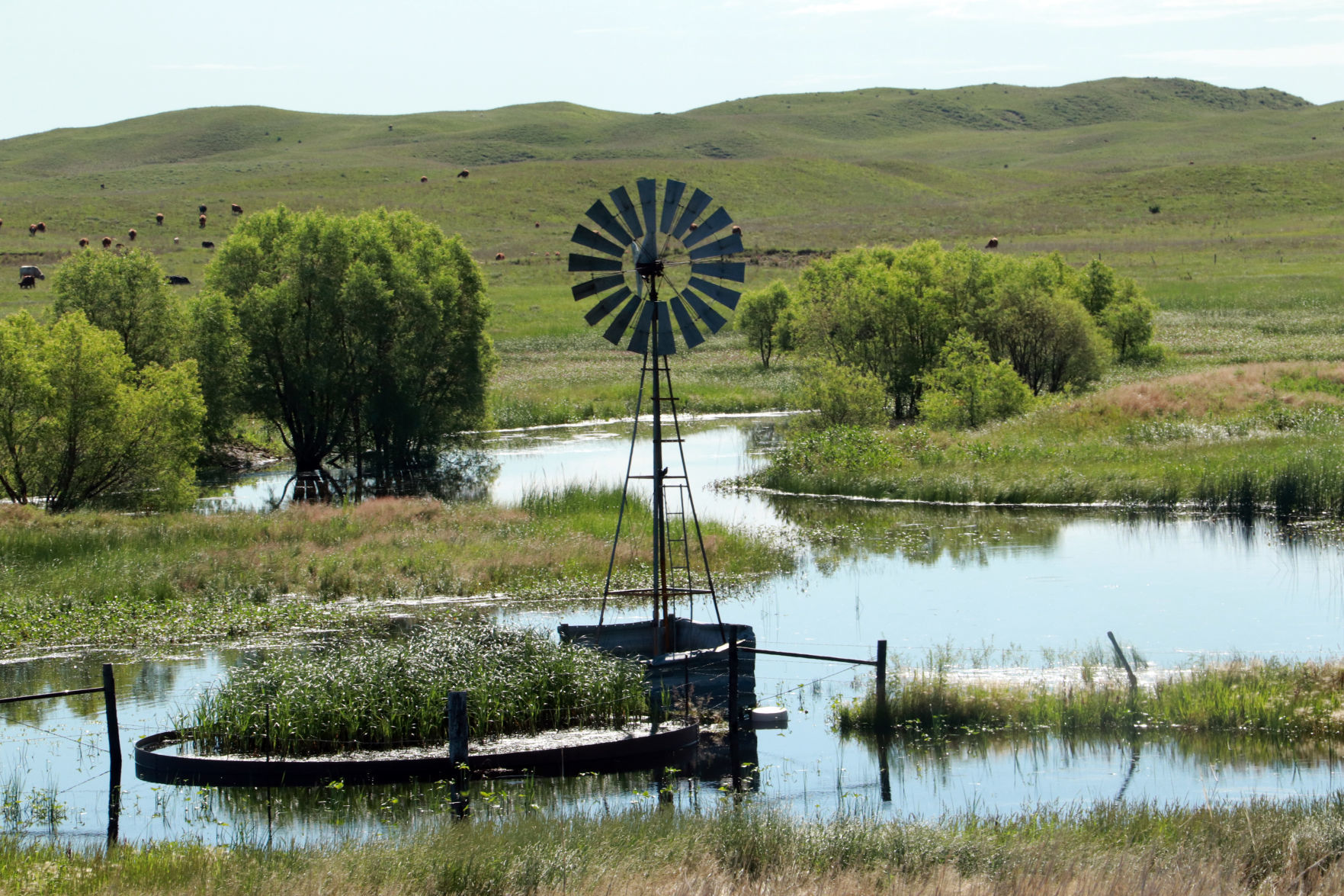 Sandhills